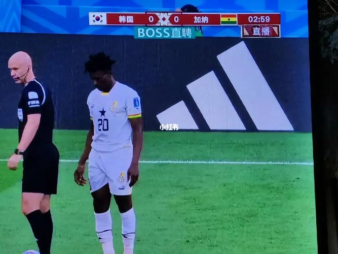 韩国vs加纳全场回放